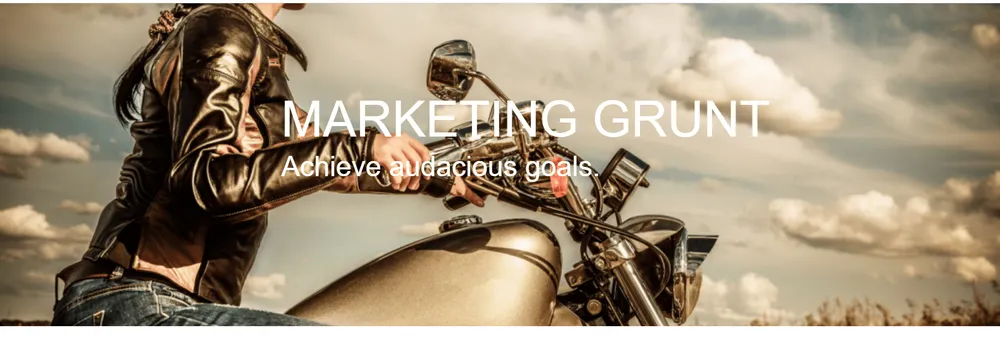 Ginormous B2B Marketing cover
