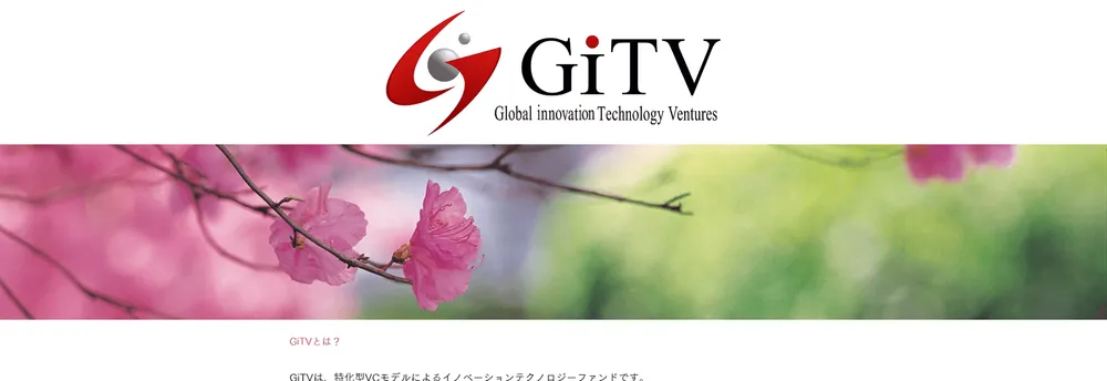 Global IoT Technology Ventures cover