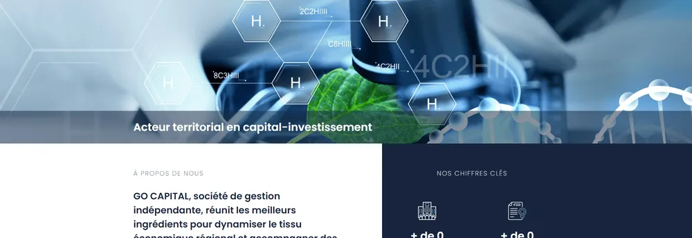 Go Capital cover