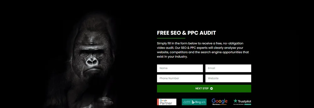 Gorilla Marketing cover