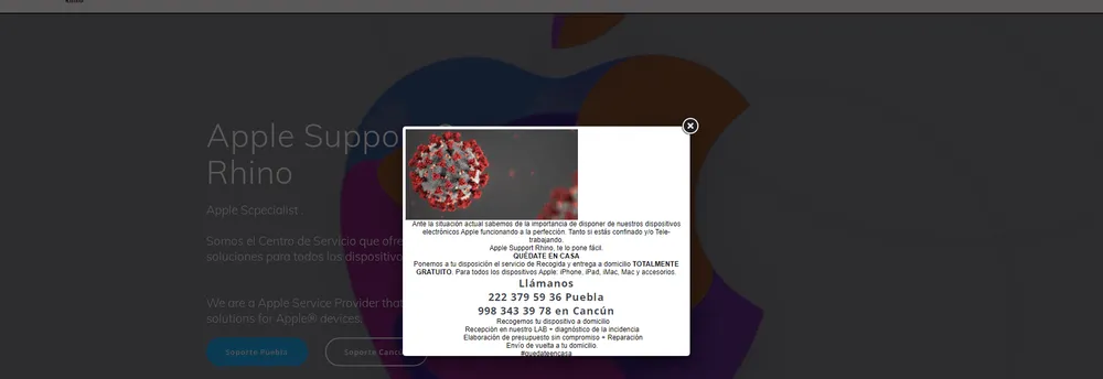 Grupo Rhino cover