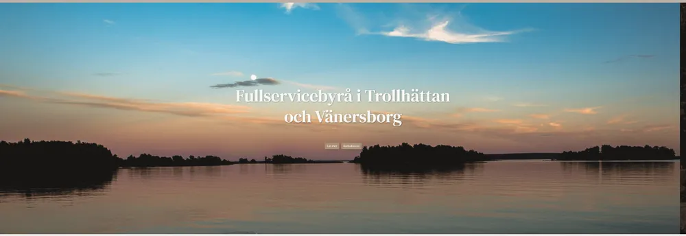 Hedmans Revisionsbyrå AB cover
