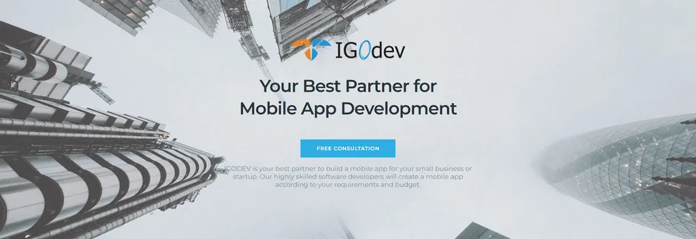 Igodev LLC cover