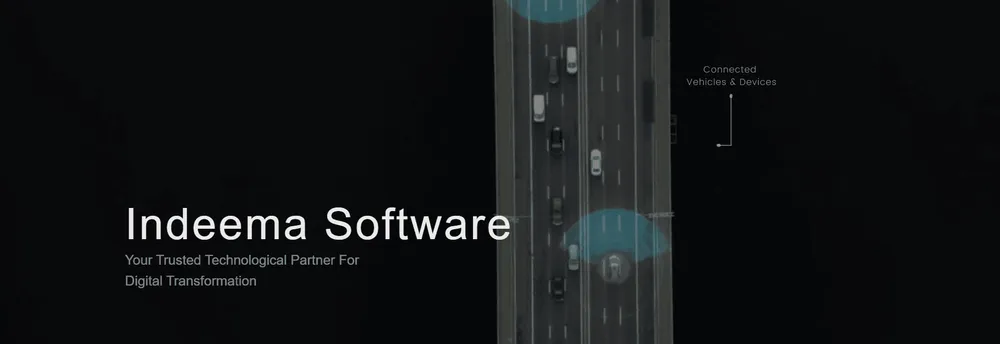Indeema Software Inc. cover
