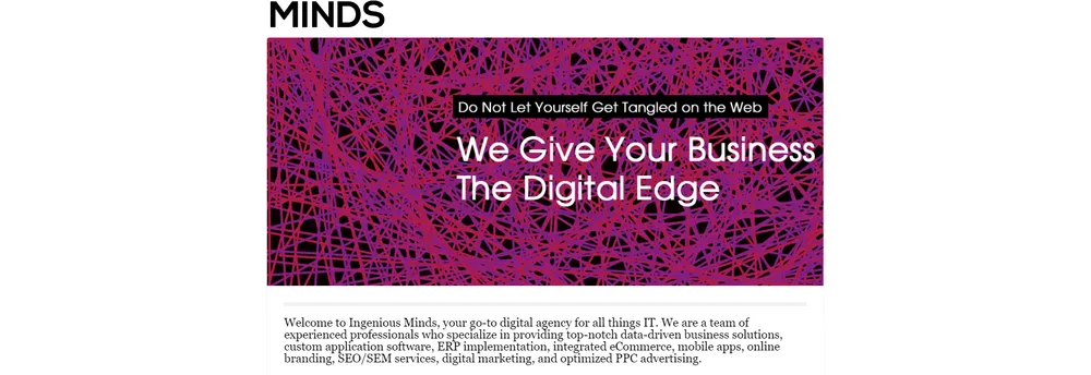 Ingenious Minds Digital Agency cover