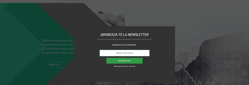 Innova Project Consulting cover