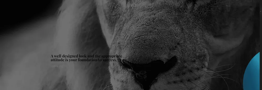 Inspirante Vendo Ltd. cover