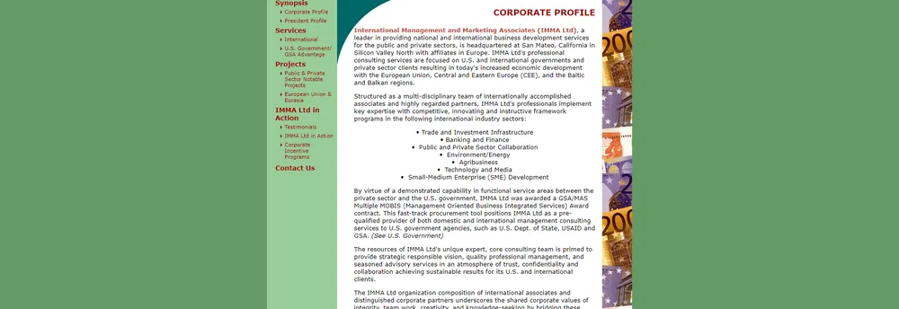 International Management & Marketing Associates cover
