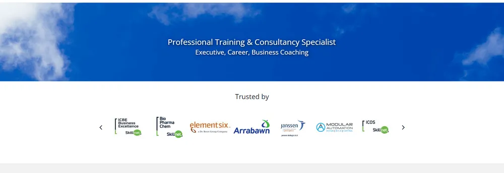 Irish Business Training cover