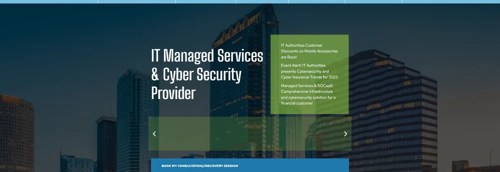 IT Authorities cover