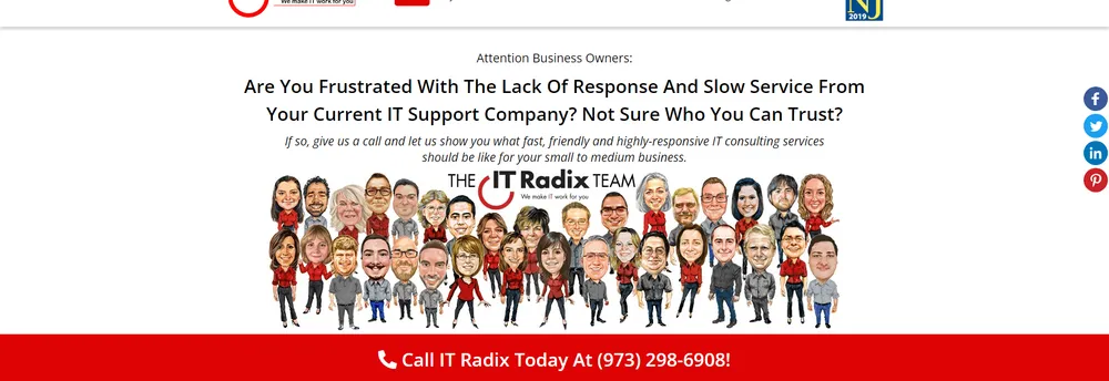 IT Radix cover