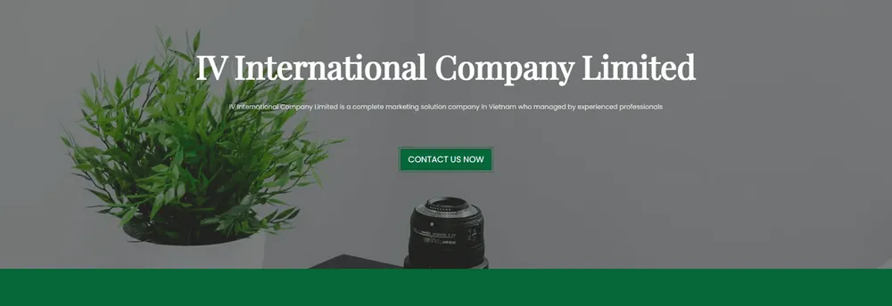 IV International cover