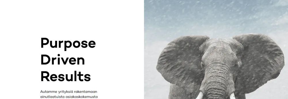 Ivalo Creative Agency cover