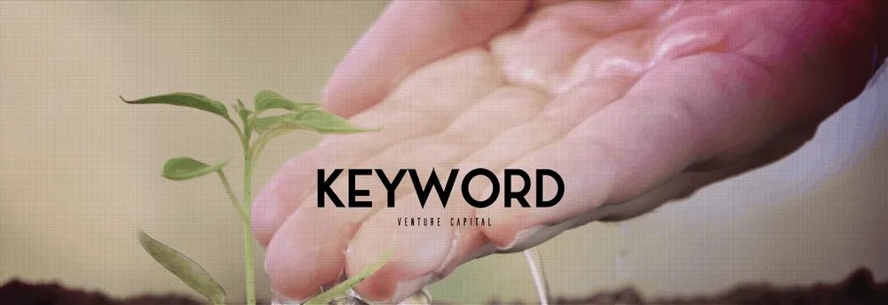 Keyword Venture Capital cover