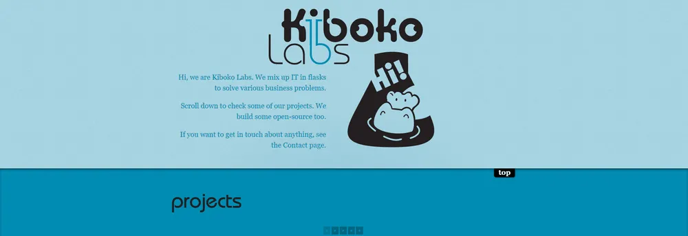 Kiboko Labs Ltd cover
