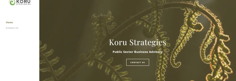 Koru Strategies Inc. cover