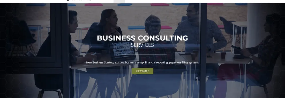 LA Swan Consulting cover