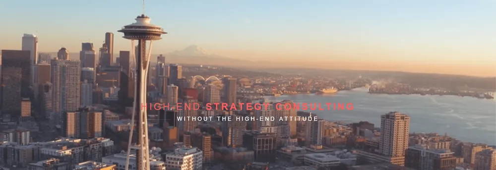Lake Partners Strategy Consultants cover