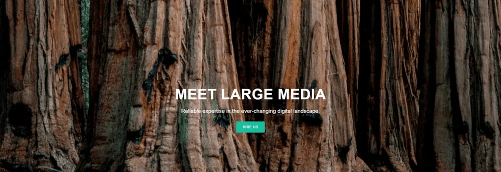 Large Media cover