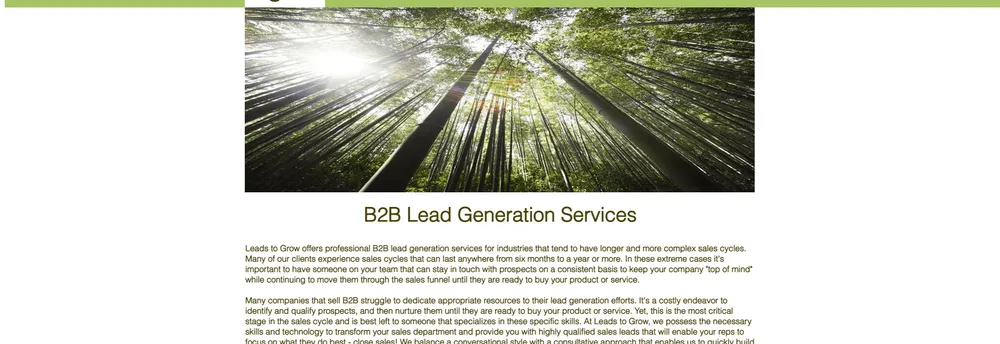 Leads to Grow cover