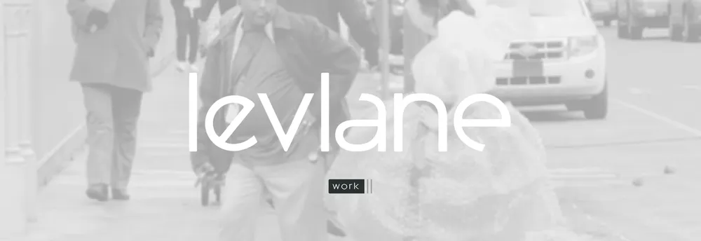LevLane Advertising cover