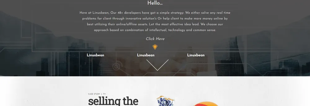 Linuxbean Solution PVT. LTD. cover