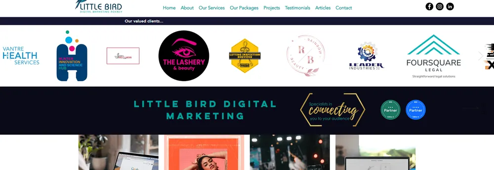 Little Bird Digital Marketing cover