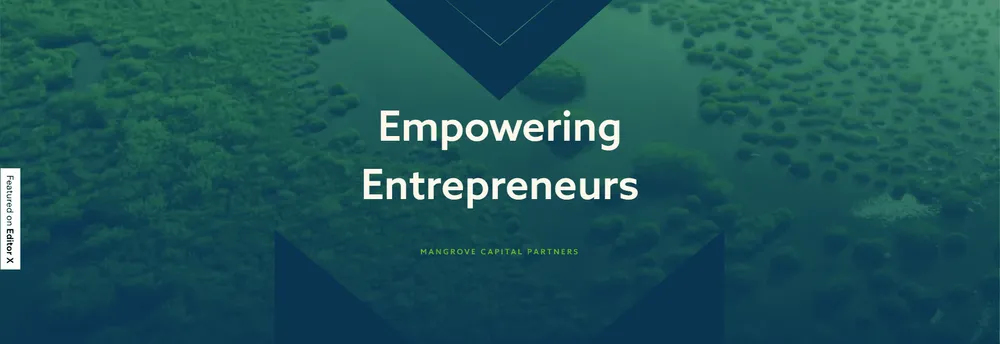Mangrove Capital Partners cover