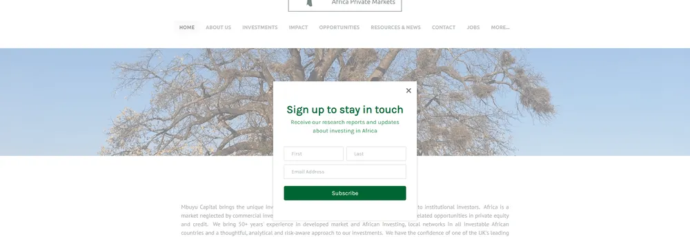 Mbuyu Capital Partners Limited cover