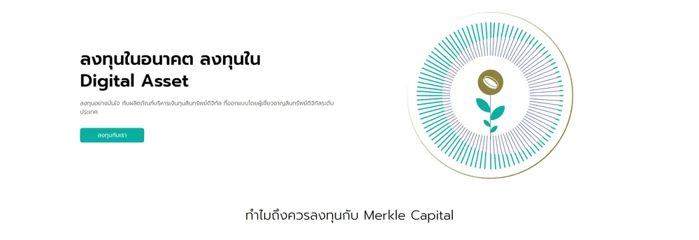 Merkle Capital cover
