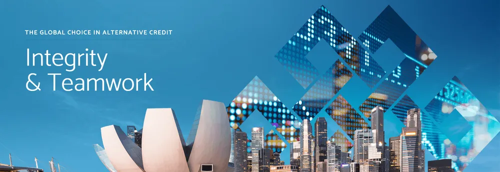 Napier Park Financial Partners cover