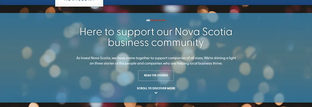 NSBI Venture Capital cover
