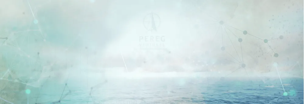 Pereg Ventures cover