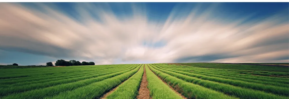 Pontifax AgTech cover