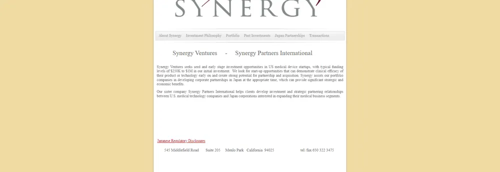 Synergy Partners International cover