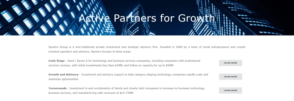 Synetro Group cover