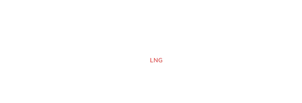 Venture Global LNG cover