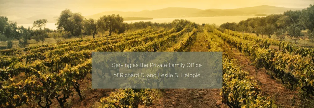 Vineyard Capital Group cover