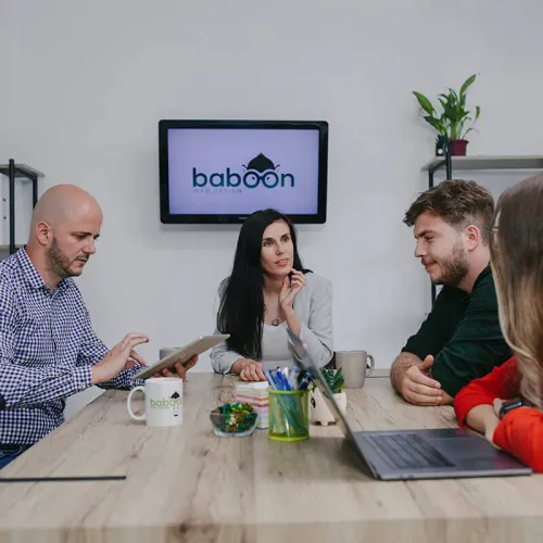 Baboon Web Design screenshot 2