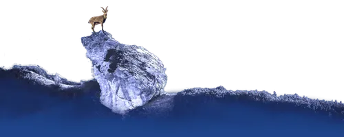 Bellwether Technology screenshot 2
