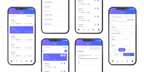 Bitsol Technologies screenshot 1