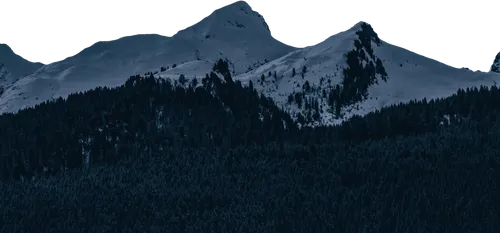 Black Antelope screenshot 1
