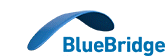 Blue Bridge screenshot 2