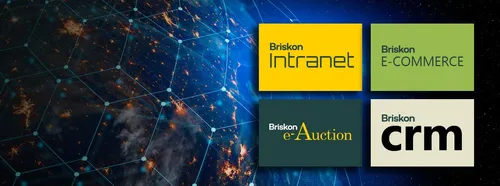 Briskon Technologies screenshot 1