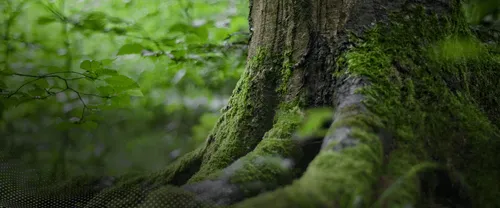 CapShift screenshot 2