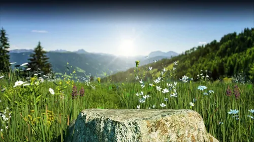 conversionMOXY screenshot 1