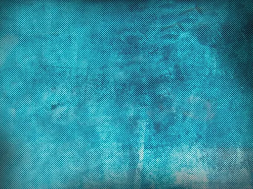 Copia Studio Poland screenshot 1