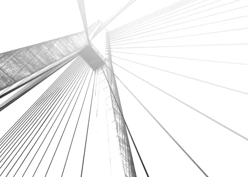 Cota Capital screenshot 1
