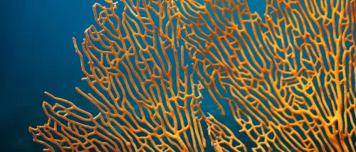 Digital Science screenshot 1