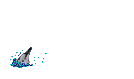 Dolphin Imaging Plus screenshot 1